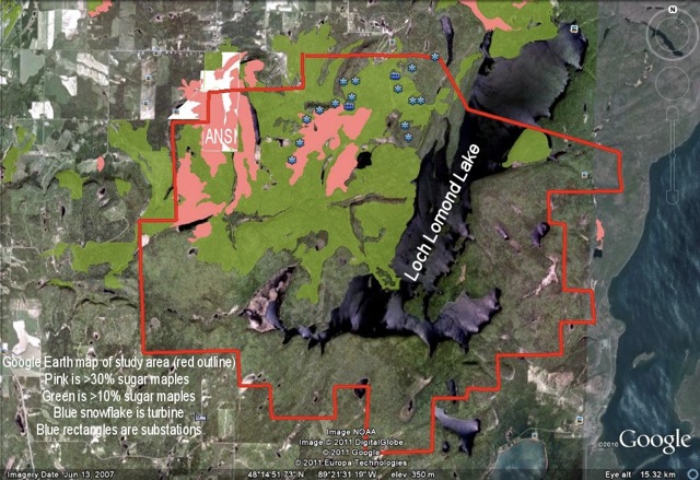 Area impacted